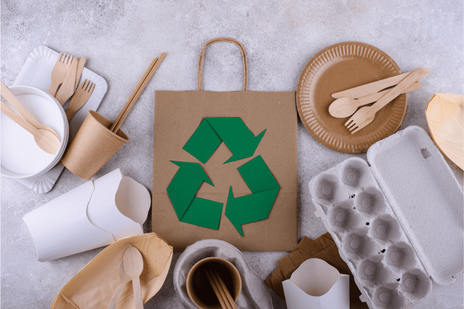 Going Green: The Rise of Ecological Toys with Sustainable Packaging